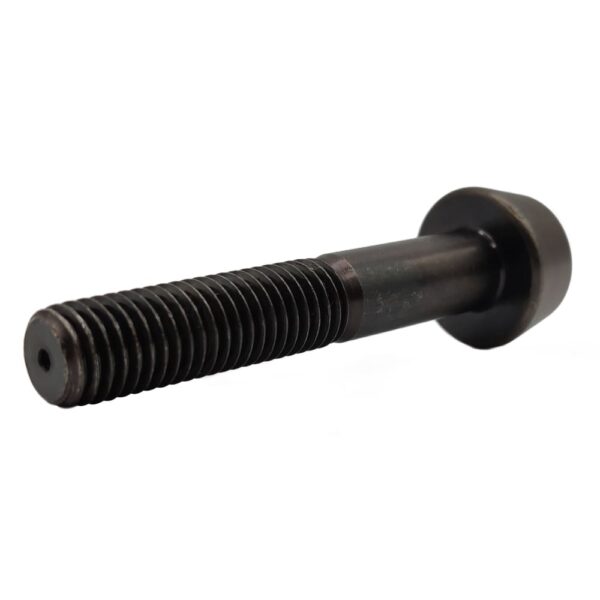 Torx-T 70 Bolt