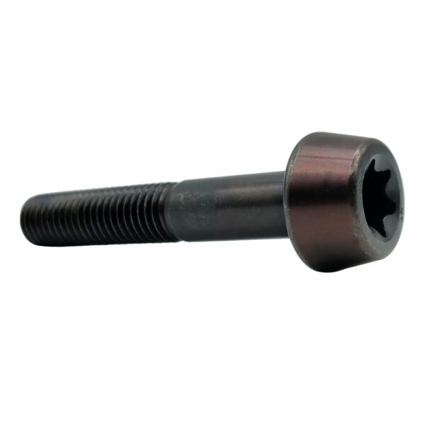 Torx T 70 Bolt Photo 2